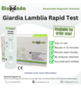 Giardia Lamblia Schnelltest-Kassette - 10 Stk.