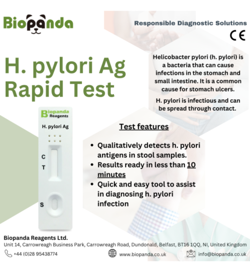 H. pylori Antigen Schnelltest-Kassette - 10 Stk.