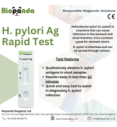 H. pylori Antigen Schnelltest-Kassette - 10 Stk.
