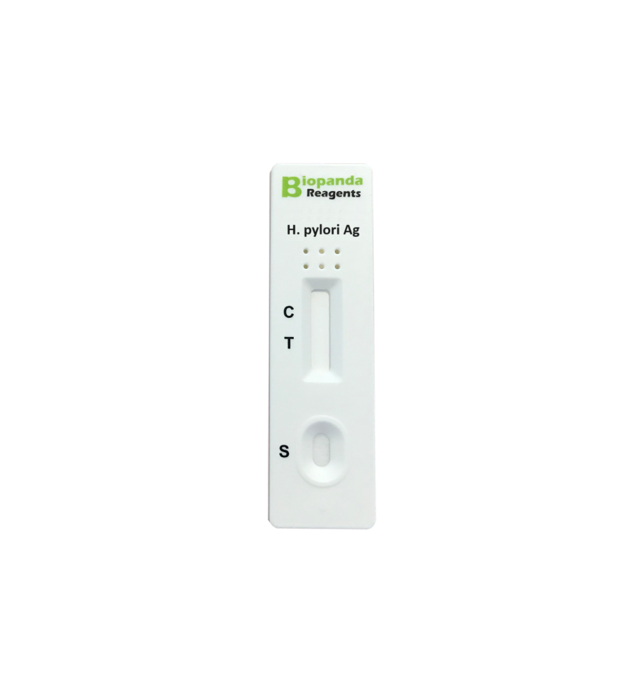 H. pylori Antigen Schnelltest-Kassette - 10 Stk.