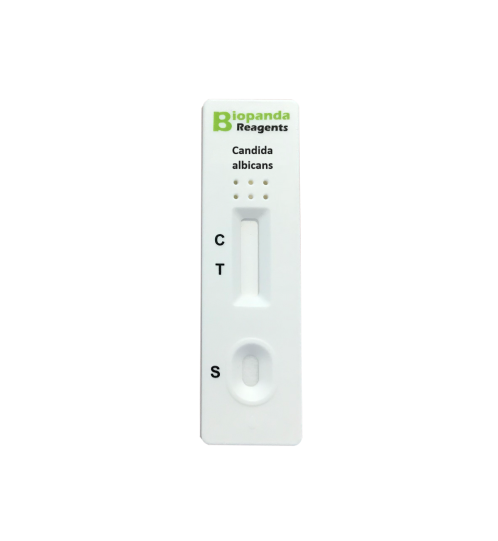 Candida albicans - Schnelltest