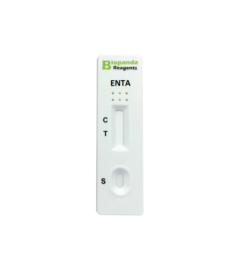 Entamoeba histolytica - Schnelltest