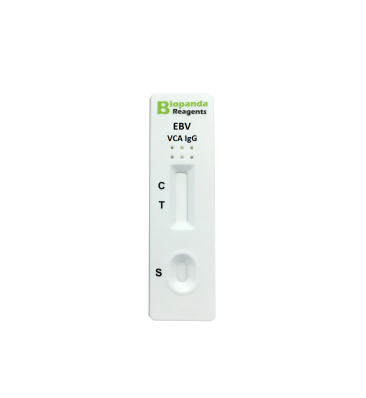 EBV VCA IgG - Schnelltest