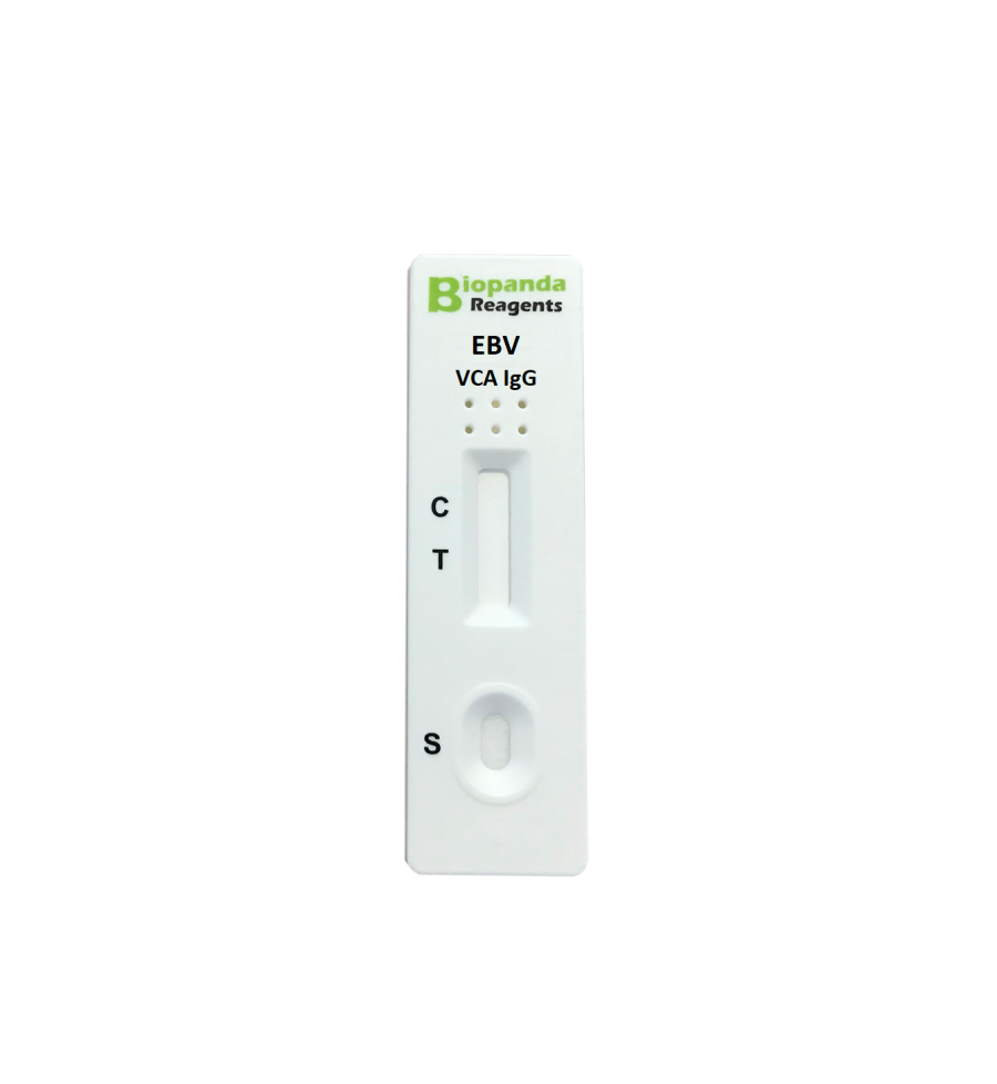 EBV VCA IgG Rapid Test - 20 Stk.