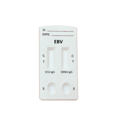 EBV VCA and EBNA IgG Combo - Schnelltest