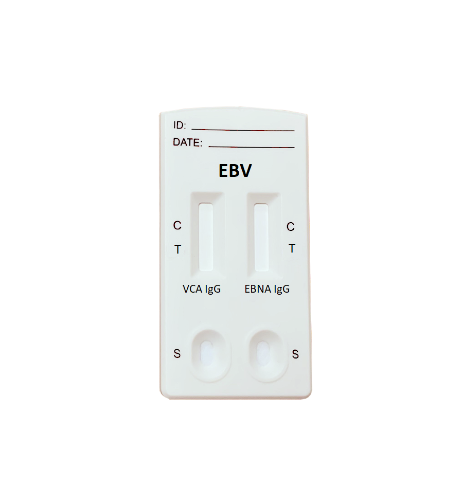 EBV VCA and EBNA IgG Combo Rapid Test - 10 Stk.