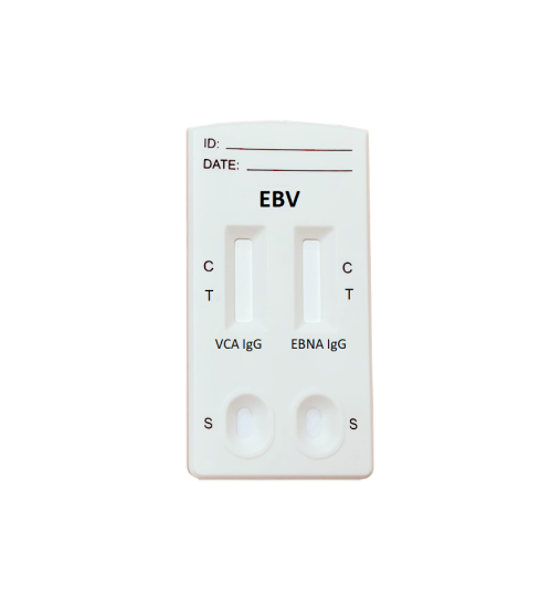 EBV VCA and EBNA IgG Combo - Schnelltest