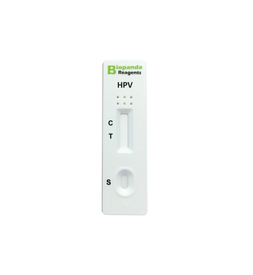 HPV Antigen - Schnelltest