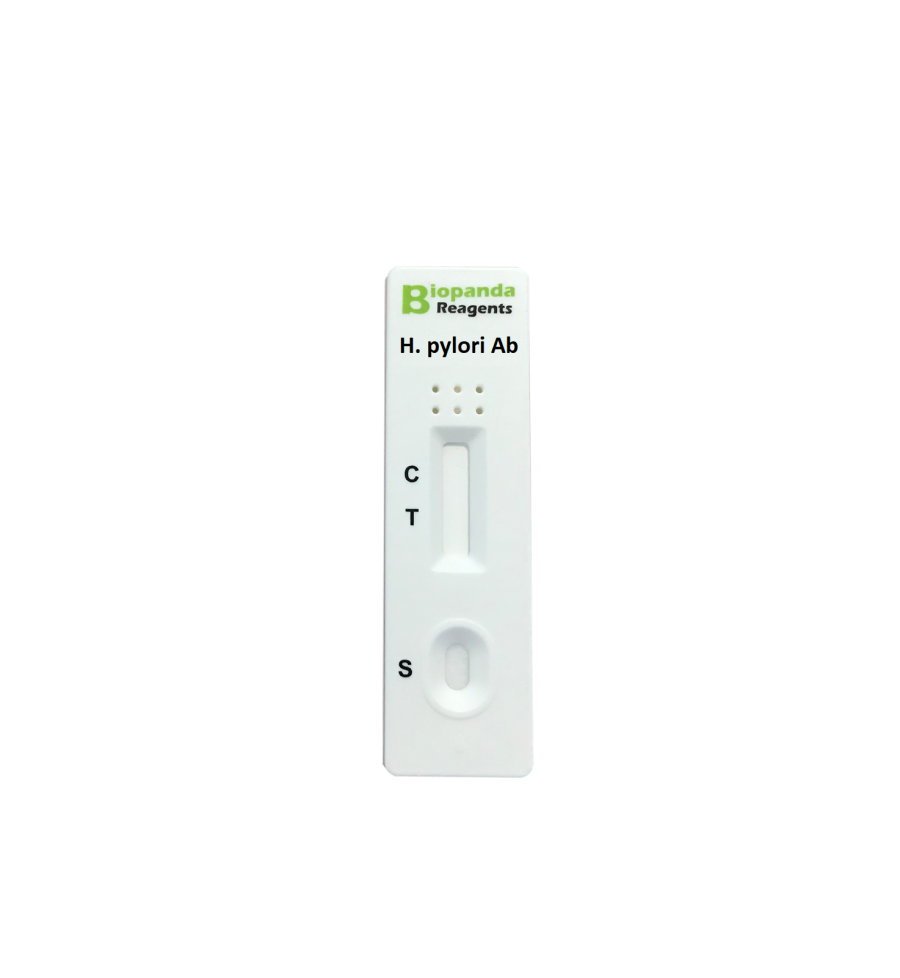 H. pylori Antibody Schnelltest-Kassette (S/P) - 20 Stk.