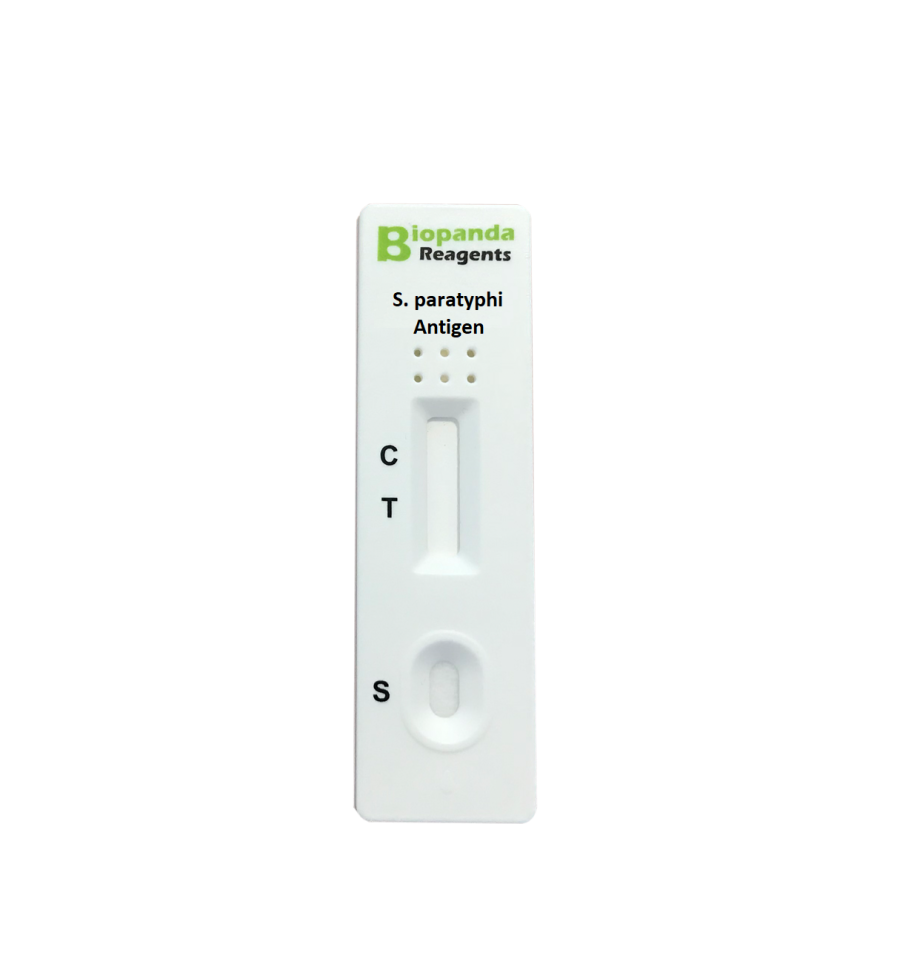 Salmonella paratyphi Antigen Rapid Test - 10 Stk.
