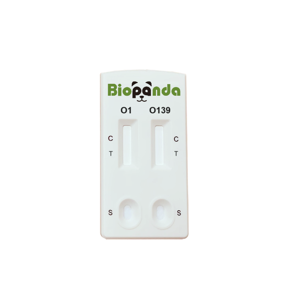 Vibrio Cholerae O1/O139 Schnelltest-Kassette - 10 Stk.