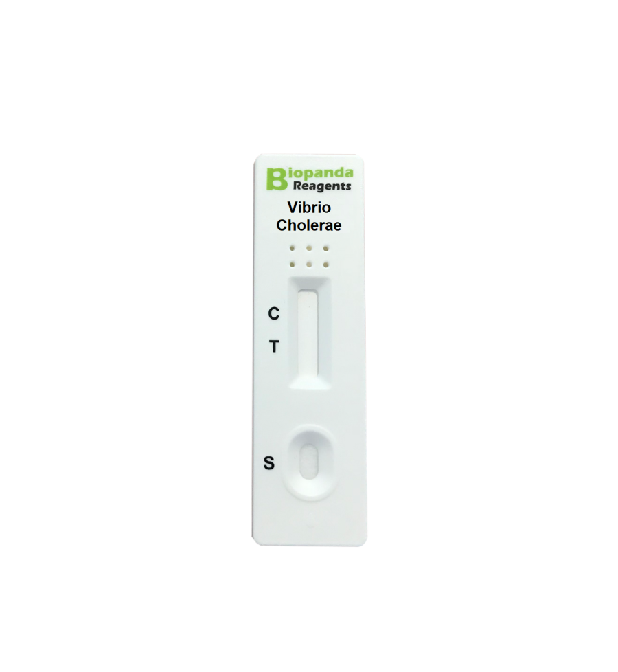 Vibrio Cholerae O1 Schnelltest-Kassette - 10 Stk.