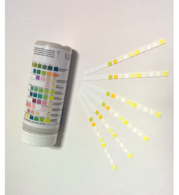 Schnelltest zur qualitativen und semi-quantitativen Untersuchung