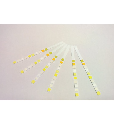 Schnelltest zur qualitativen und semi-quantitativen Untersuchung