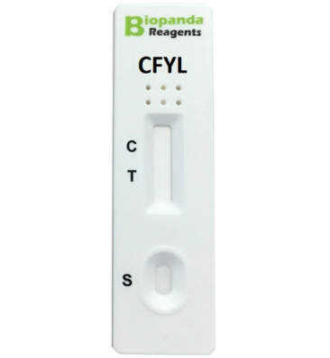 Carfentanyl (CFYL) Speichel Schnelltest-Kassette