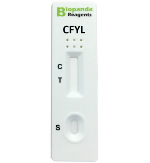 Carfentanyl (CFYL) Speichel Schnelltest-Kassette